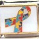 Free Shipping: Autism Awareness Ribbon Enamel Italian 9mm Charm