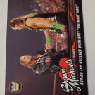 Shawn Michaels 2018 Topps WWE Michaels Tribute Insert Card