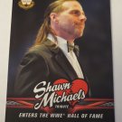 Shawn Michaels 2018 Topps WWE Michaels Tribute Insert Card #37