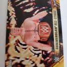 Brock Lesnar 2019 Topps WWE SummerSlam Mr. SummerSlam Insert Card MSS5
