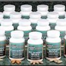 Peppermint Leaf 450 mg   (#436R)