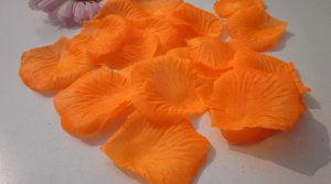 Orange Rose Petals