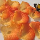 2 Tones orange Rose Petals