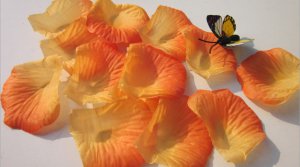 2 Tones orange Rose Petals
