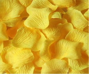Yellow Rose Petals