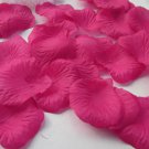 Fuchsia Rose Petals