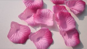 2 Tone Fuchisa Rose Petals