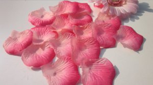 2 Tones Pink Rose Petals