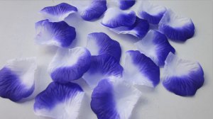 2 Tones White & Blue Rose Petals