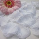 White Rose Petals