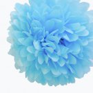 Baby Blue Pom Pom Large