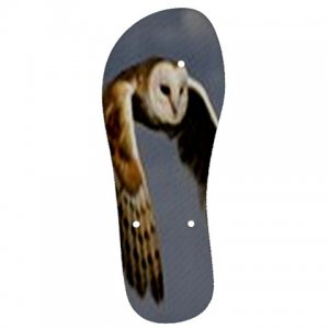 64bc Mens Flip Flops S/M/ L/XL