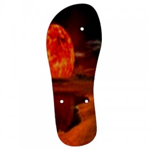 86bc Mens Flip Flops S/M/ L/XL