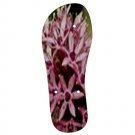 110bc Mens Flip Flops S/M/ L/XL