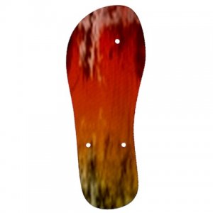259bd Mens Flip Flops S/M/ L/XL