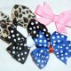 ItSy BitSy BowS
