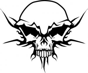 SKULL CRACK Vinyl Decal Sticker