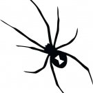 Black Widow Spider Vinyl Decal Sticker
