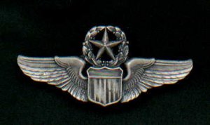 USAF Air Force Command Pilot Wings full size badge