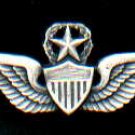 Army Command or Master Pilot Wings