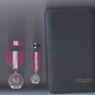 US State Department Superior Honor Award medal in case with mini medal, lapel pin and ribbon bar