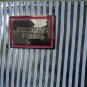 Victoria's Secret Metallic Stripe Clutch