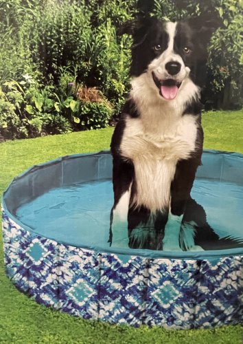 Collapsible Pet Pool for Medium-Sized Dogs