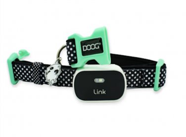 GPS Dog Tracker With Collar, Medium