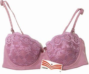 embroidered padded underwire bra 32254