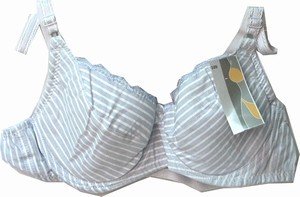 pin stripe padded underwire bra