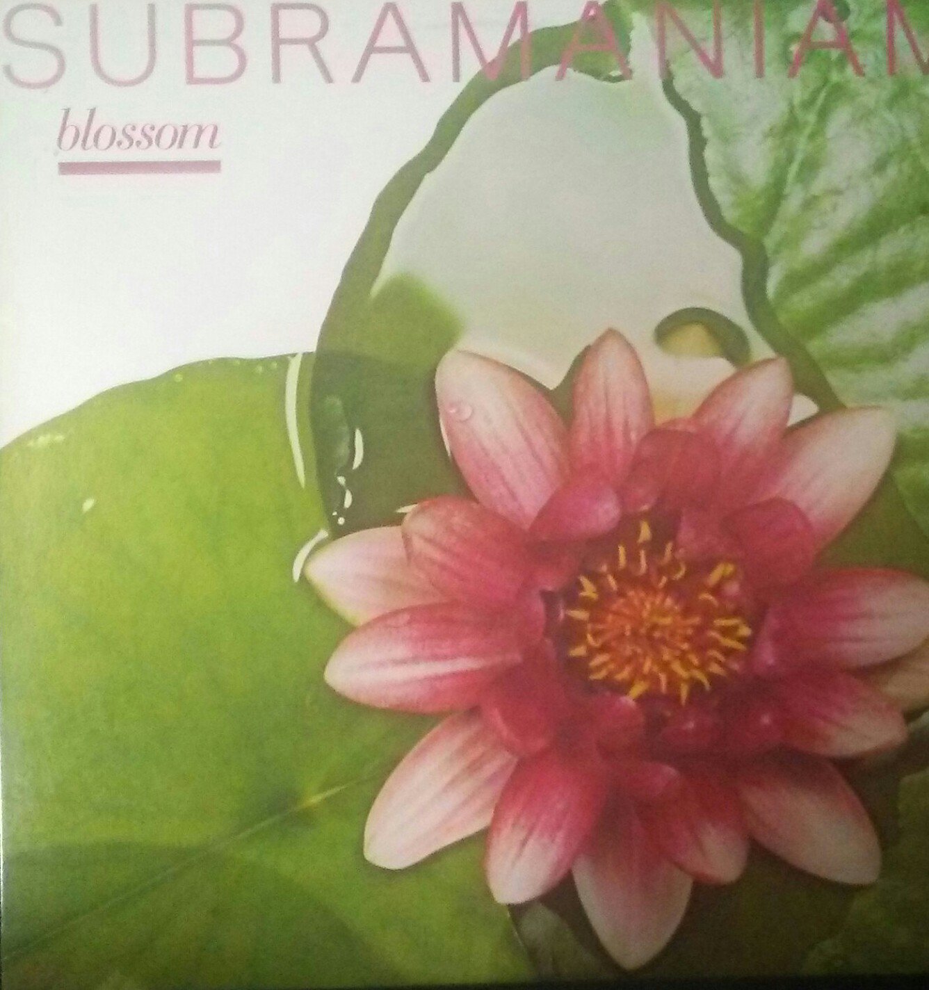 Subramaniam ~Blossom~ Promo LP