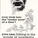 1957 Wisconsin: Tender Eyes of a Deer