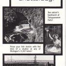 1961 Michigan: Shutterbug