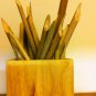 3XCalligraphy Reed pen Qalam Kalam bamboo pen arabic urdu farsi