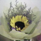 You are my sunshine~