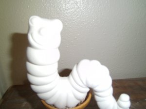 In13 Worm Plant Tender