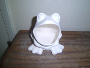 FR11 Frog Scrubber Holder