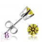 Fancy Yellow VS2 Round Diamond Stud Earrings 14k W Gold