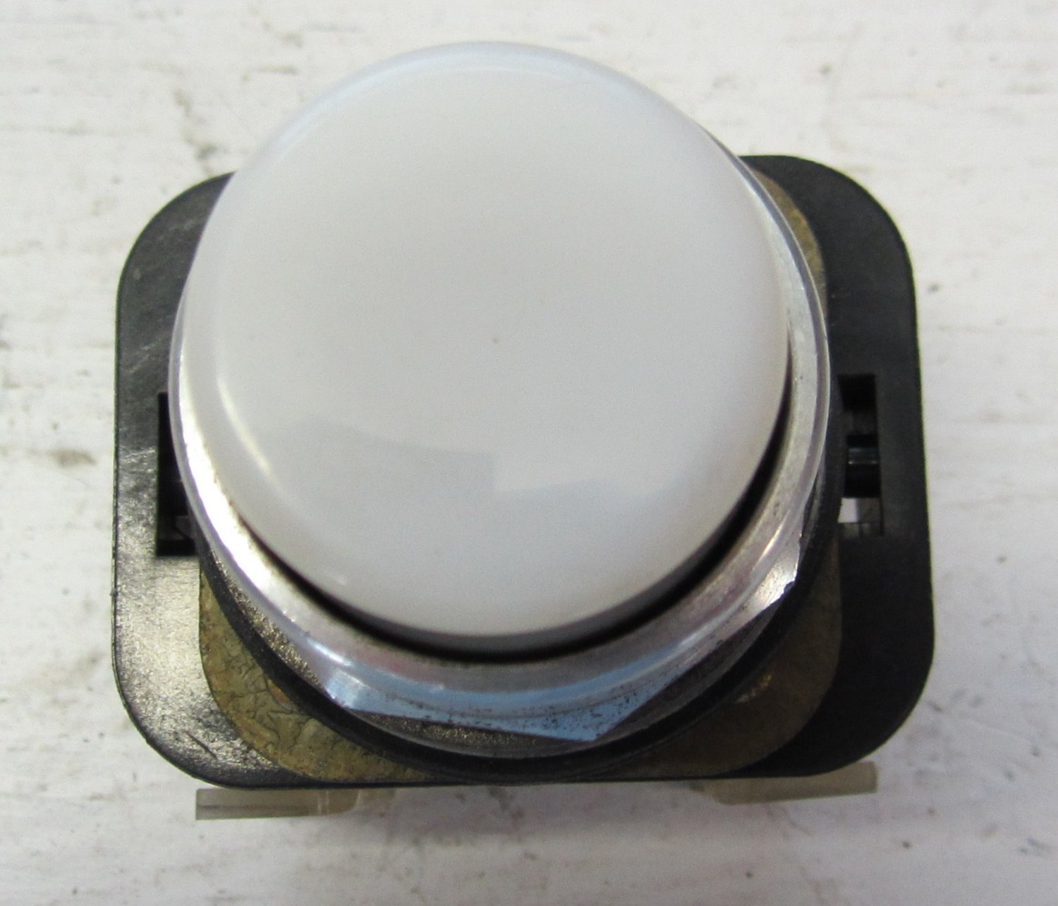 Allen Bradley 800T-QT24 Push Button Pilot Light White 24 VDC / VAC 800TQT24