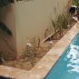 Limpieza de alrededores