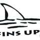 Vinyl Graphics