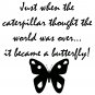 Butterfly's Change Wall Art Vinyl Decal