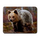 Bear In Motion MOUSEPAD