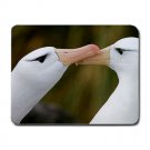 Black Browed Albatross Pair MOUSEPAD