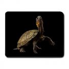 Bog Turtle MOUSEPAD