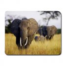 Elephants Herd Grass In Tanzania MOUSEPAD