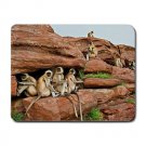 Female Langurs Offspring MOUSEPAD