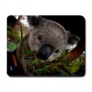 Koala Bear MOUSEPAD
