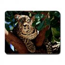 Leopard Kenya Bender MOUSEPAD