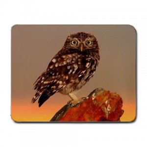 Little Owl In Spain MOUSEPAD